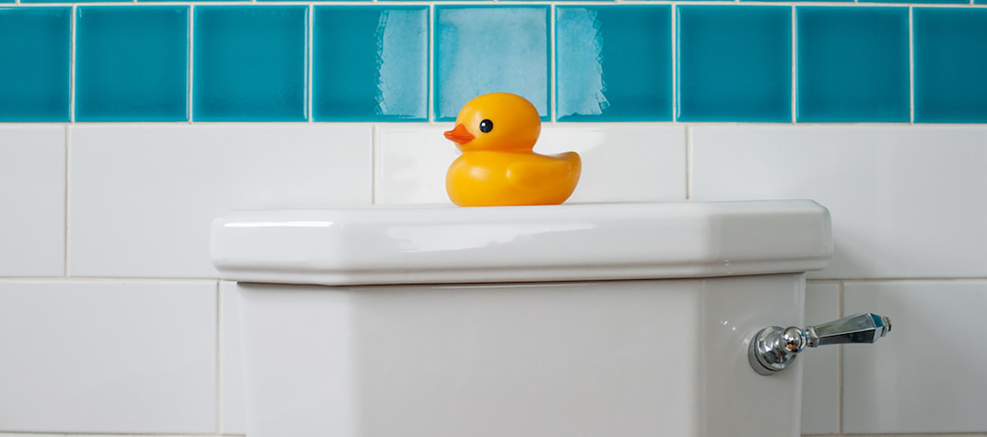Image of a rubber ducky in the bathroom