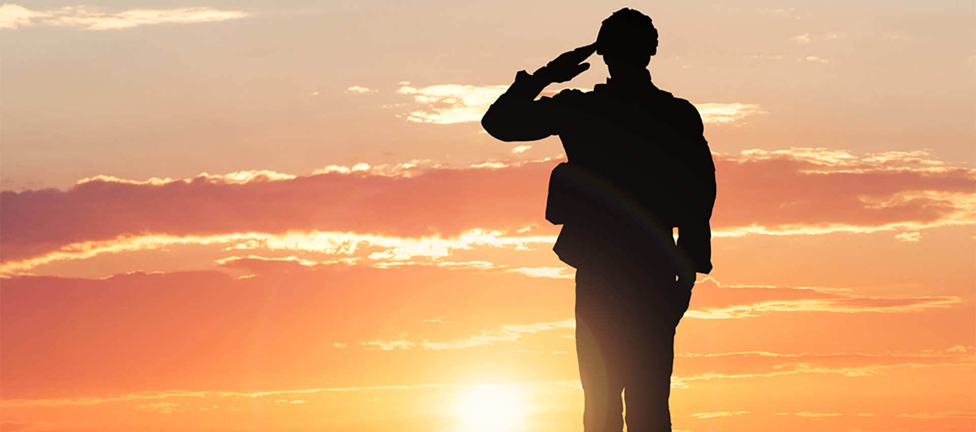 Celebrating Fellow Servicemembers on Veterans Day image