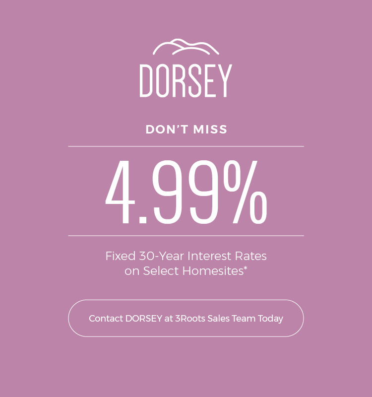 Popup for Dorsey incentive